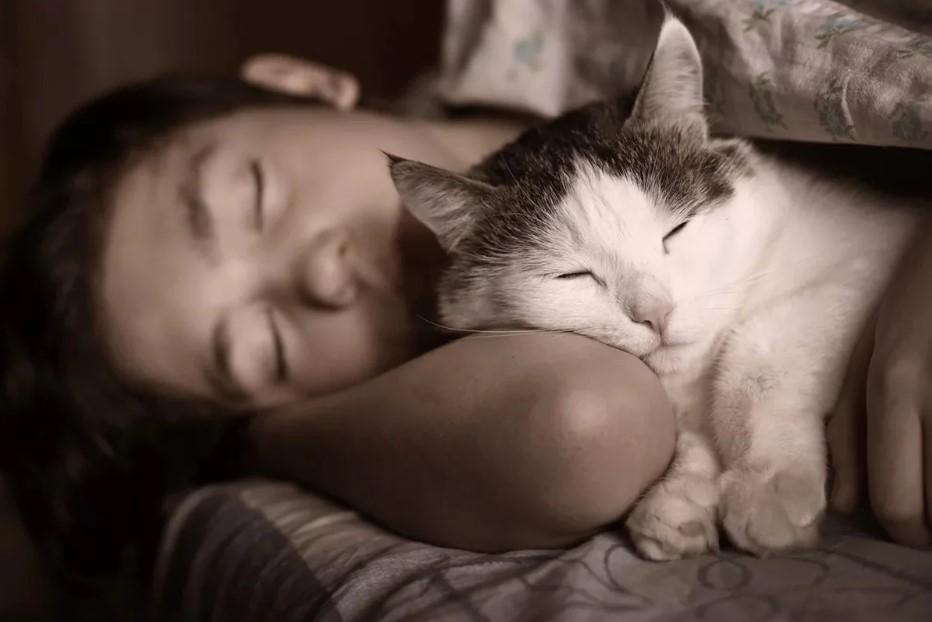 5 причин, почему кошка спит с человеком.